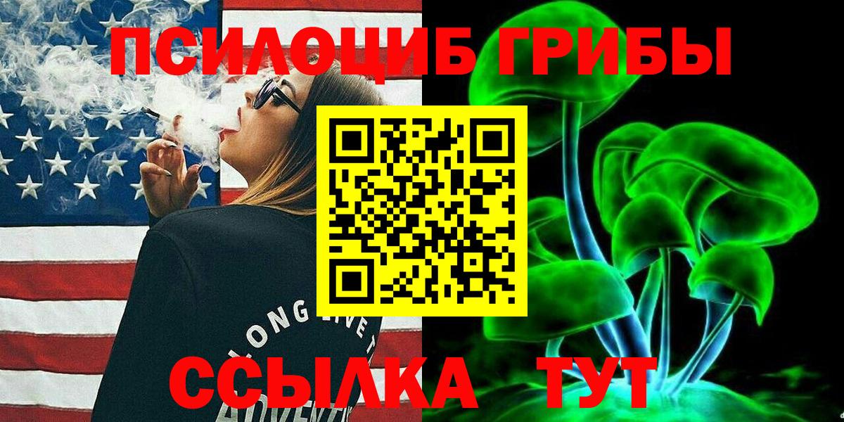 закладки  Галлюциногенные грибы Psilocybine cubensis  Вход с VPN  Галлюциногенные грибы GOLDEN TEACHER  Ачхой-Мартан 