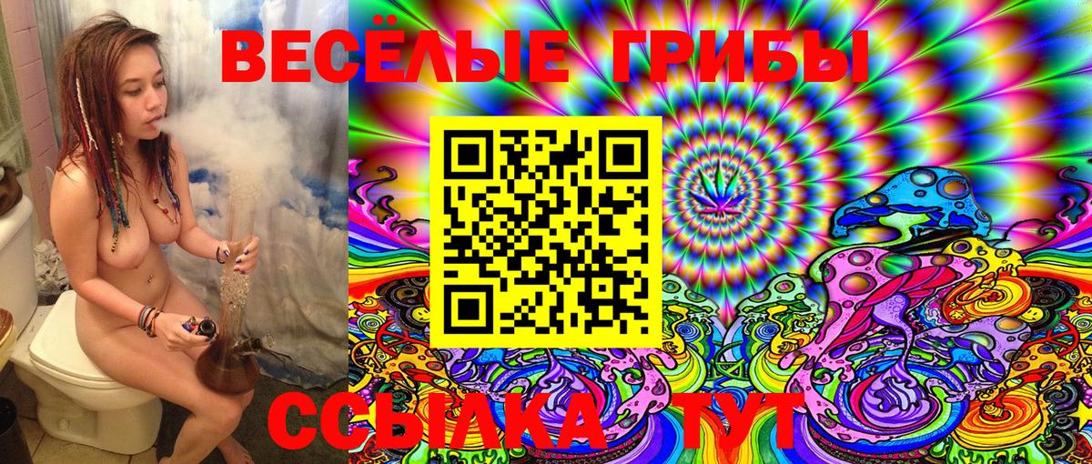 цена   Галлюциногенные грибы GOLDEN TEACHER  Ачхой-Мартан  Галлюциногенные грибы мицелий 