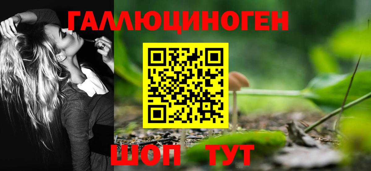 Псилоцибиновые грибы ЛСД Ачхой-Мартан